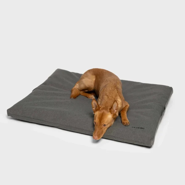 CLOUD7 Outdoor Hundebett Siesta Light Graphite