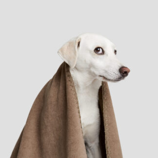 CLOUD7 Hundedecke Soft Fleece Sand