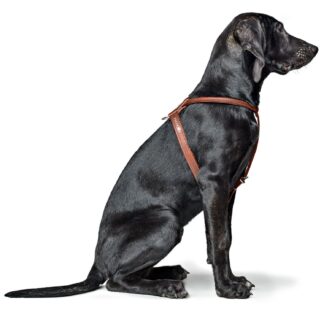 Hunter Geschirr Round & Soft Canadian Up Cognac