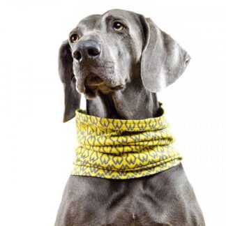 DUFTMARKE DoggyLoop HARTBREAKER XXL