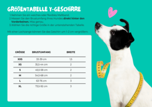 Größen Geschirr Dwam