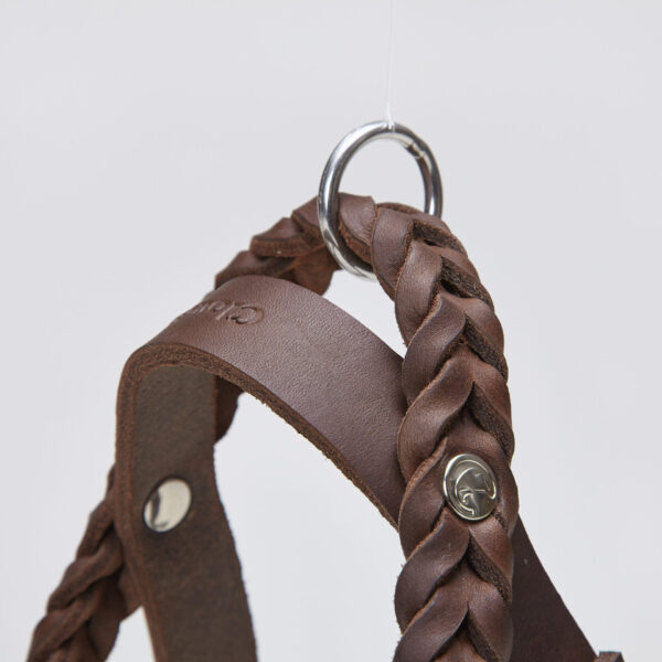 CLOUD7 Hundegeschirr Central Park Saddle Brown – Bild 3