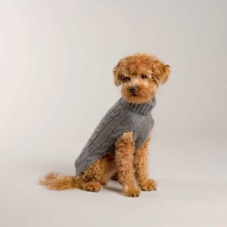 Lord Lou Hundepullover Brunello Kaschmir Grau