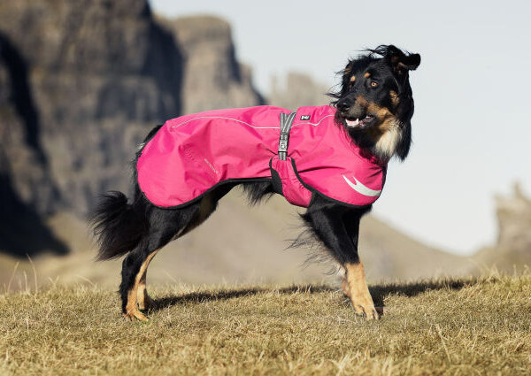 Hurtta Regenmantel Torrent Cherry Gr. 80