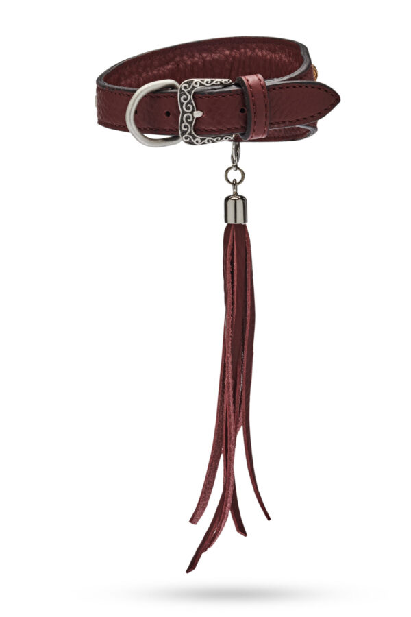 MALUCCHI Windhund Halsband Petra Braun – Bild 2