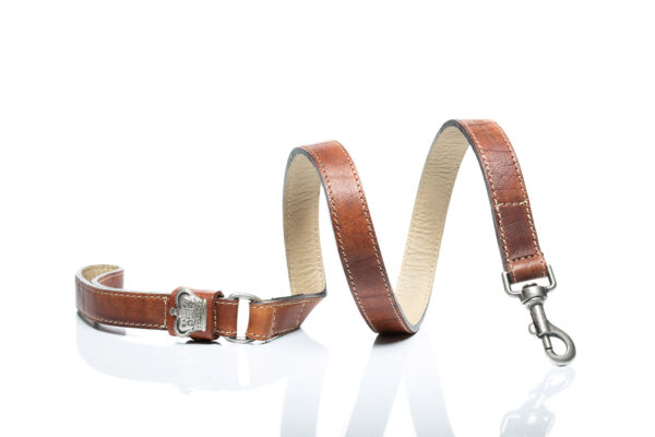 MALUCCHI Bulldoggen Halsband Royal Braun – Bild 2