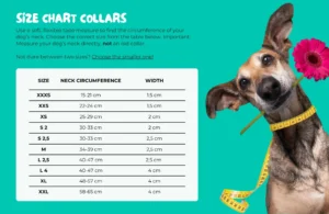 Size Chart Collars En 98ae3608 E396 461f Bd3b 0f2f14163da9