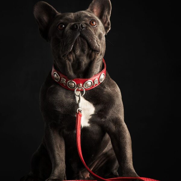 MALUCCHI Leine Royal Schwarz