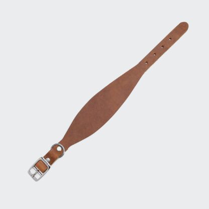 CLOUD7 Windhund Halsband Regent Park Camel – Bild 2
