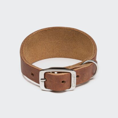 CLOUD7 Windhund Halsband Regent Park Camel