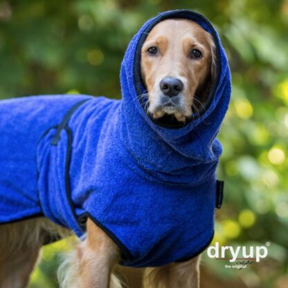 Actionfactory Hundebademantel Blau