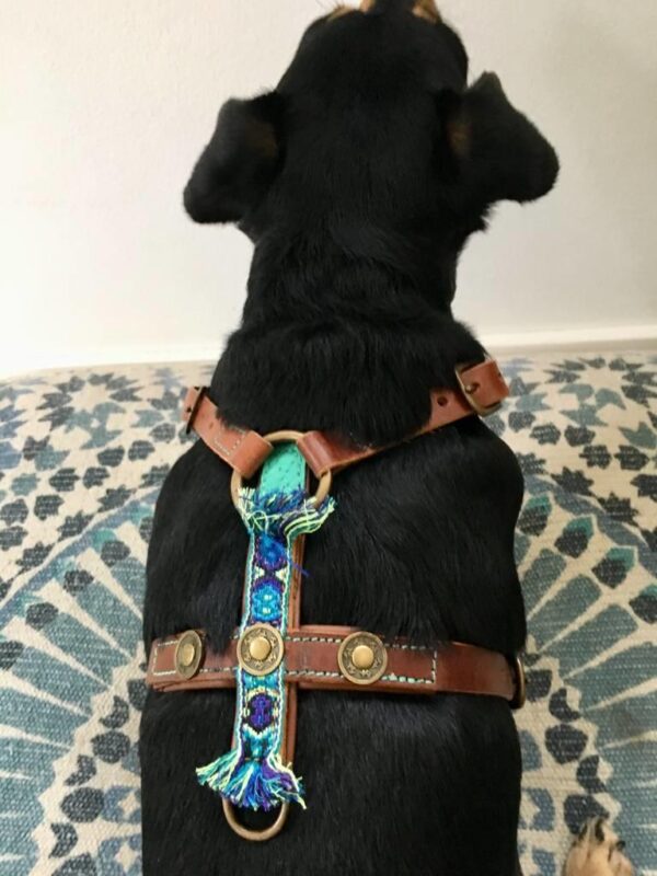DWAM Geschirr Boho Juan – Bild 3