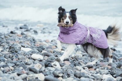 Hurtta Regenmantel Drizzle Schwarz – Bild 2