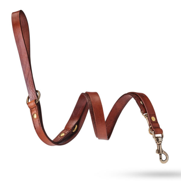 MALUCCHI Hundeleine Icon