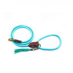 DWAM Hundeleine Nylon Türkis