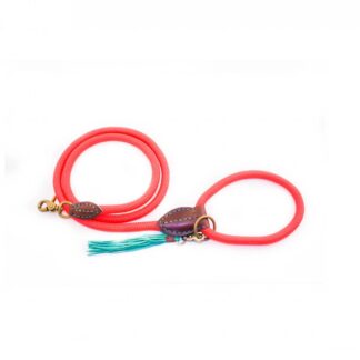 DWAM Hundeleine Nylon Orange