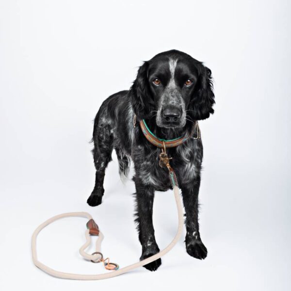 DWAM Hundeleine Nylon Sand