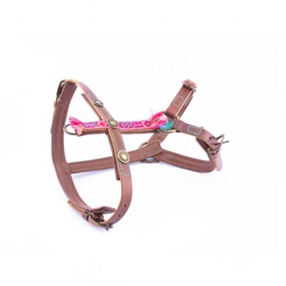 DWAM Geschirr Boho Rosa – Bild 3