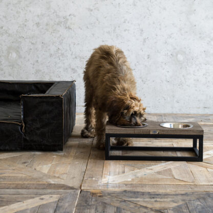 Lord Lou Dogbar Roma Gr. L – Bild 2