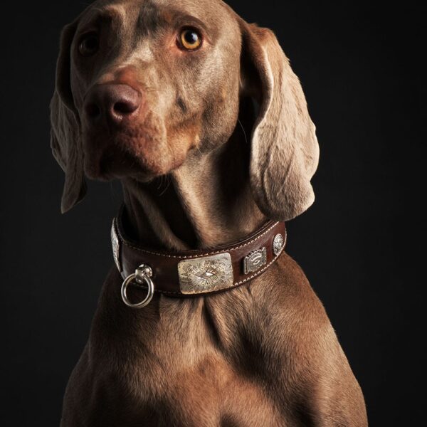 Malucchi Halsband West 4 cm