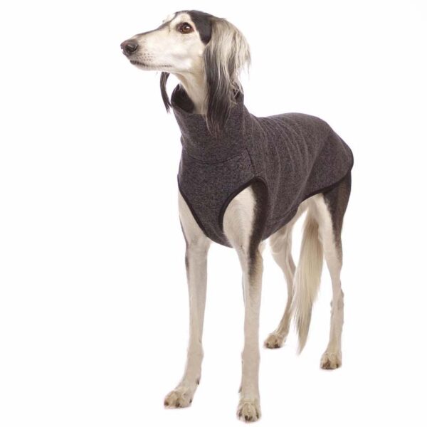 SOFA Dog Wear Hundepullover Hachico JUMPER Anthrazit – Bild 4