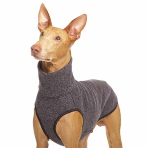 SOFA Dog Wear Hundepullover Hachico JUMPER Anthrazit