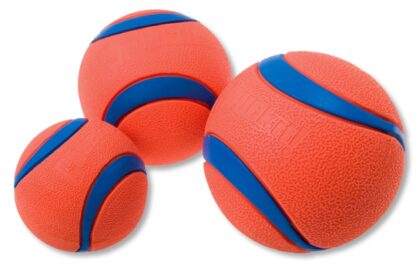 CHUCKIT Ultra Ball M – Bild 2