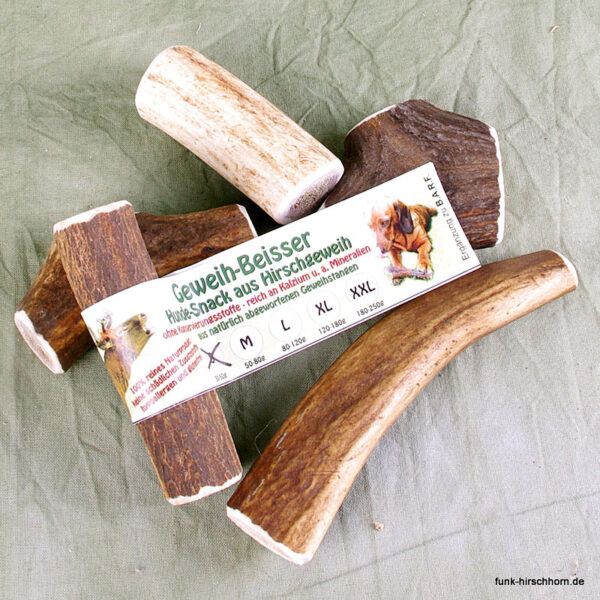 Geweih-Beisser Stangenstück ganz – Bild 4
