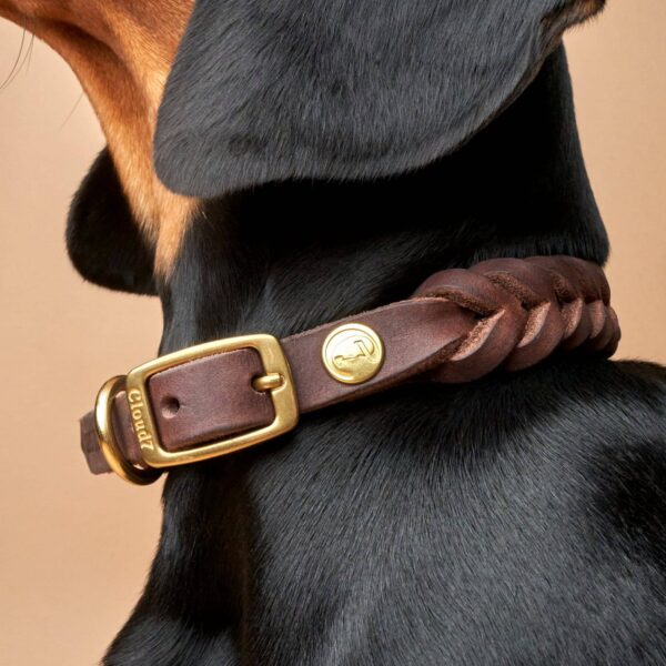CLOUD7 Halsband Central Park Saddle Brown Gold – Bild 2