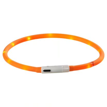 LED Leuchthalsband Orange