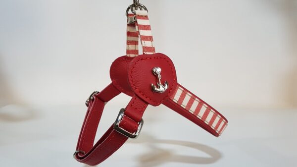 MALUCCHI Geschirr Maritima Rot