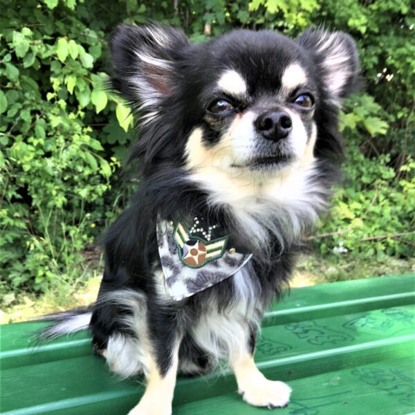 Moo & Marlii Bandana Ranger