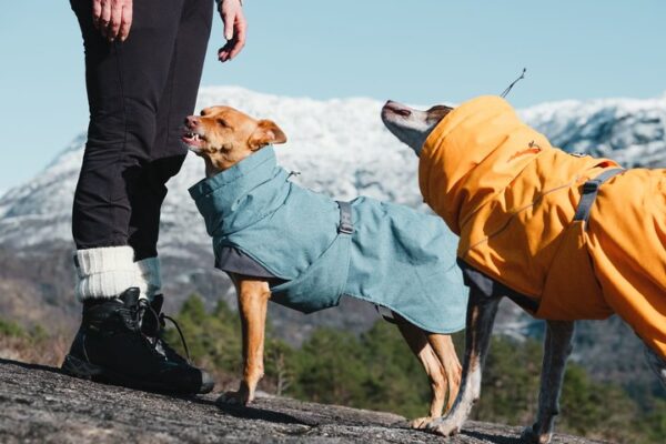Hurtta Expedition Parker Orange – Bild 2