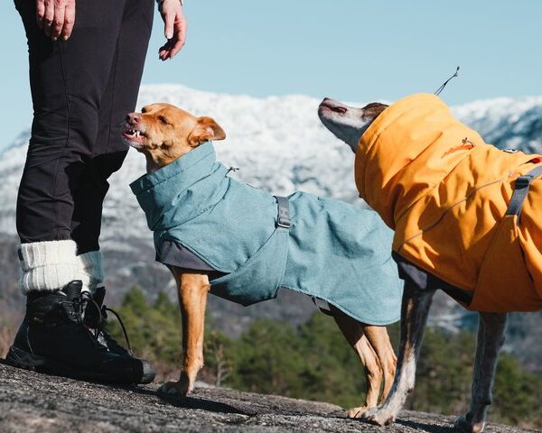 Hurtta Expedition Parker Orange