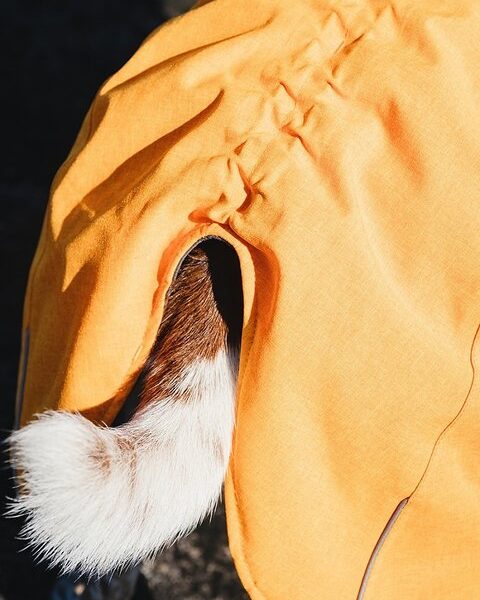 Hurtta Expedition Parker Orange