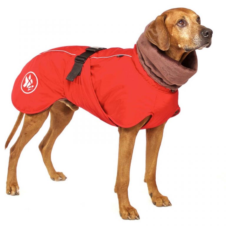 SOFA Dog Wear Hundemantel Gehry Rot hundewerk