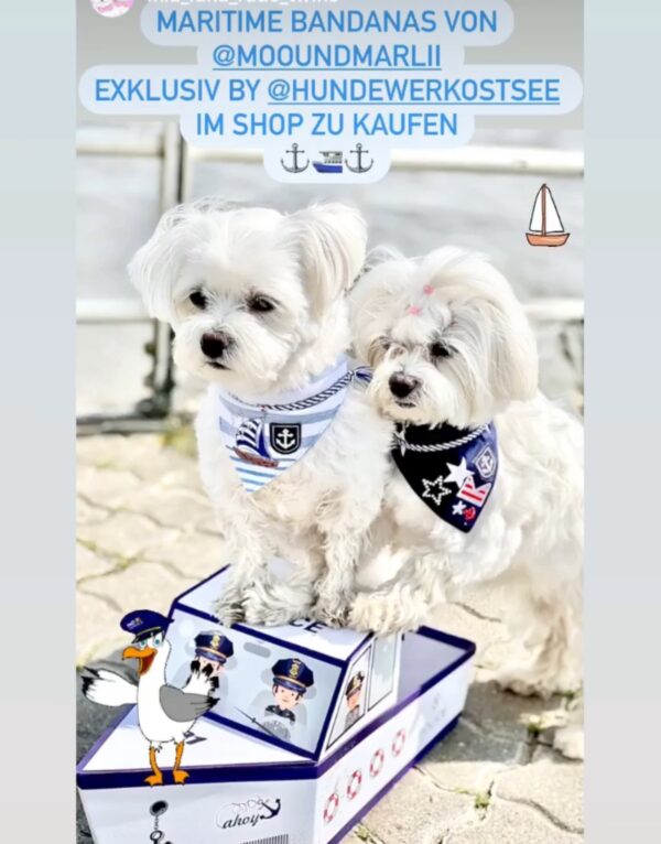 Moo & Marlii Bandana Marina Del Rey grau – Bild 2