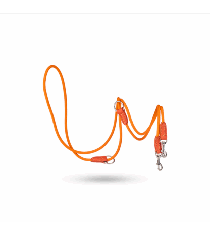 MALUCCHI Hundeleine Movie Nylon Orange