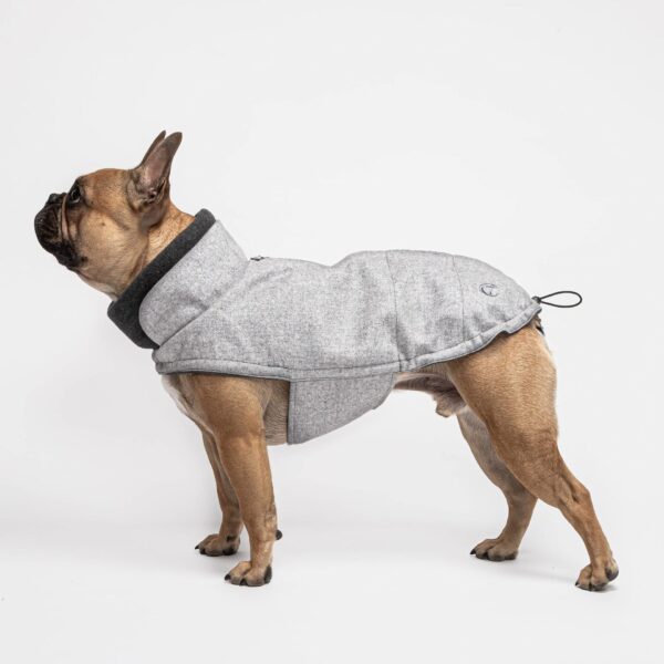 CLOUD7 Hundemantel Brooklyn Flanell Grey Französische Bulldogge – Bild 3