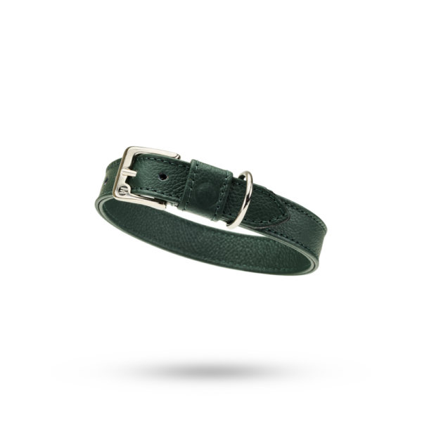 Malucchi Halsband Movie Grün