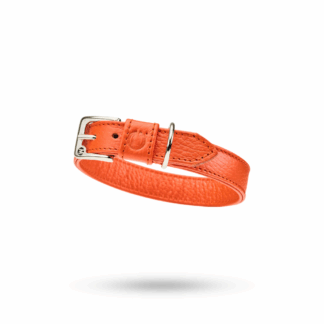 Malucchi Halsband Movie Orange
