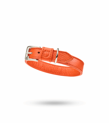 Malucchi Halsband Movie Orange – Bild 2