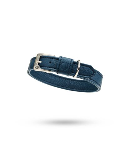 MALUCCHI Hundeleine Movie Blau – Bild 3