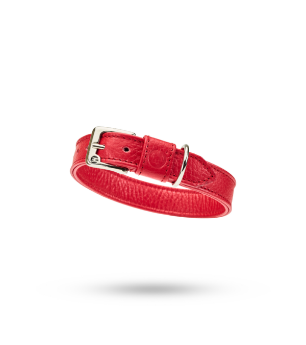 Malucchi Halsband Movie Rot – Bild 2