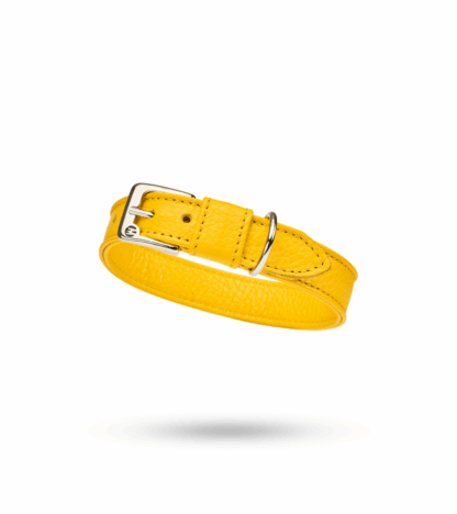 Malucchi Halsband Movie Gelb – Bild 2