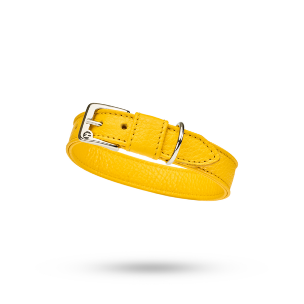 Malucchi Halsband Movie Gelb