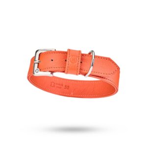Malucchi Halsband Movie Orange
