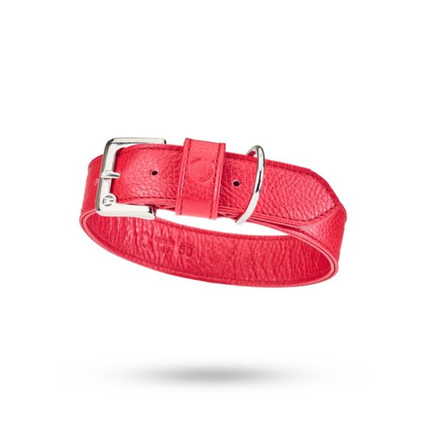 MALUCCHI Geschirr Movie Rot