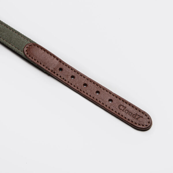 CLOUD7 Halsband Tivoli Olive – Bild 2