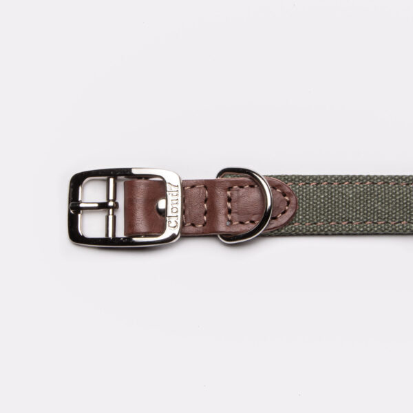 CLOUD7 Halsband Tivoli Olive – Bild 3